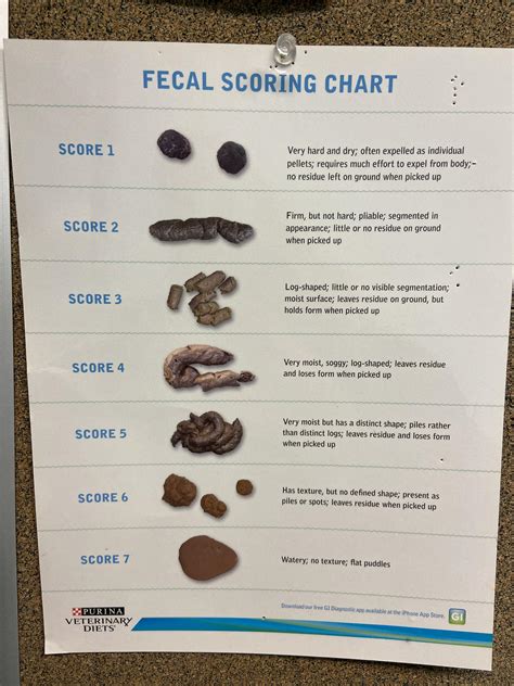 With the guide below, you can tell why your goat poop appears the way it is. . Goat poop chart